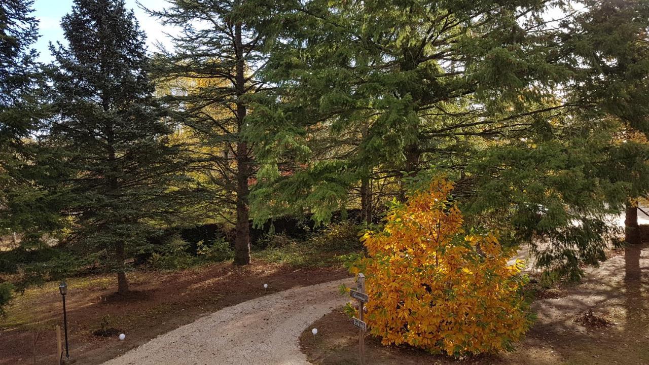 Le Clos Des Ecureuils Vouzon Exterior foto