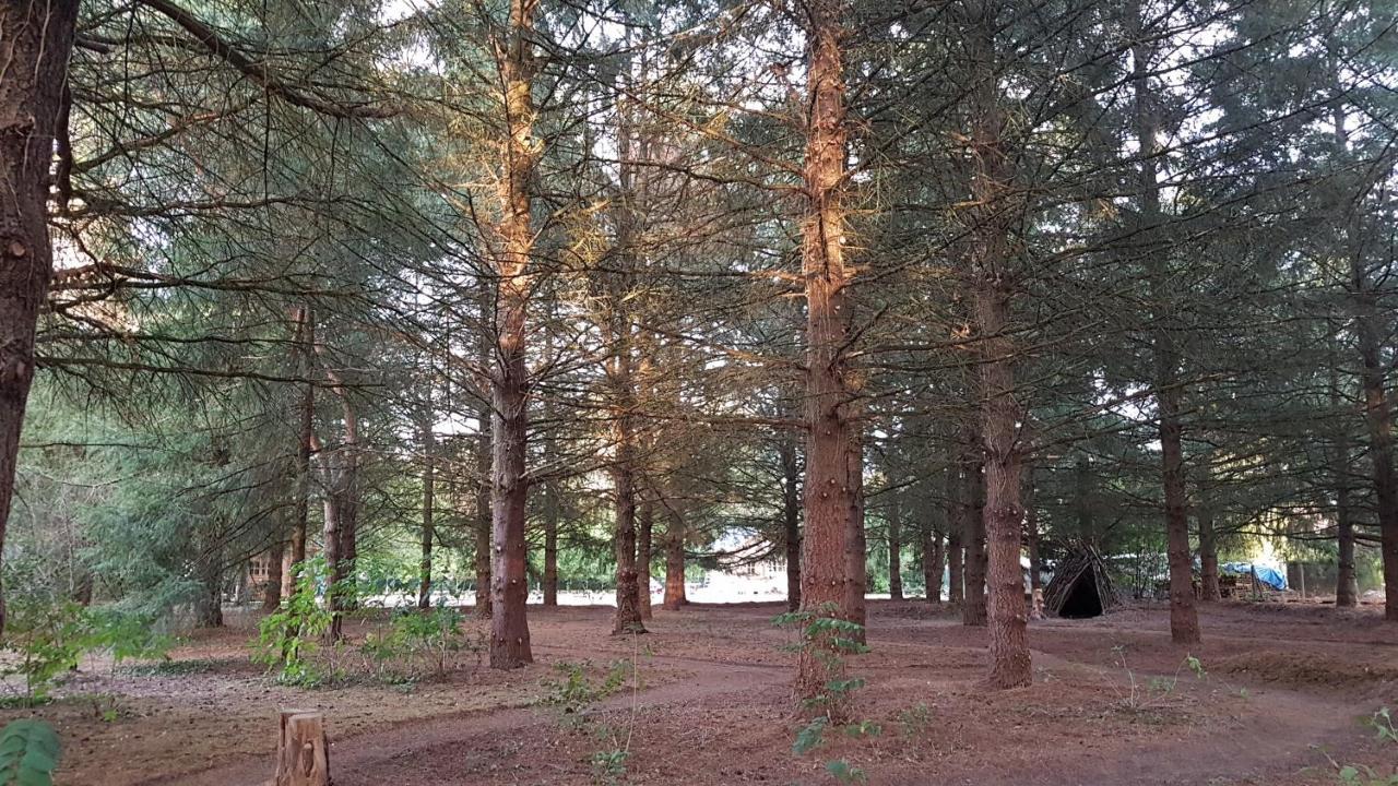 Le Clos Des Ecureuils Vouzon Exterior foto
