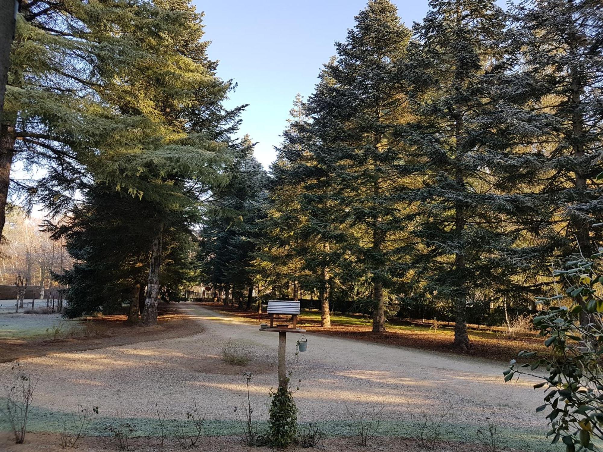 Le Clos Des Ecureuils Vouzon Exterior foto