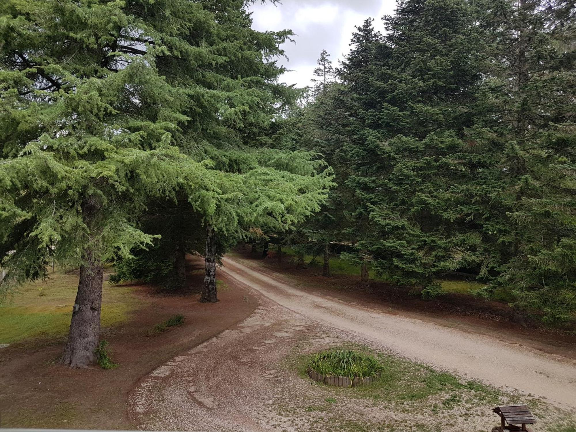 Le Clos Des Ecureuils Vouzon Exterior foto